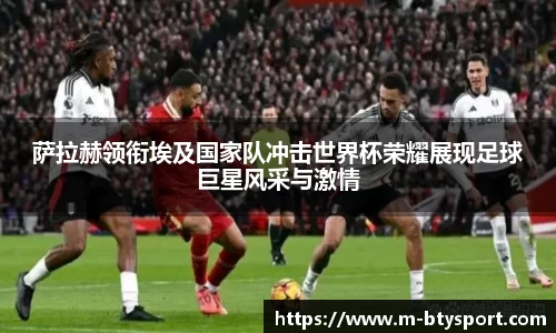B体育